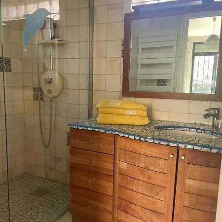 Tres Beau Lumineux Dans Avec Piscine