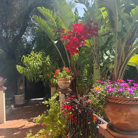 2p Dans Appartement Juan-les-Pins
